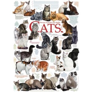 Beware Of People Who Dislike Cats