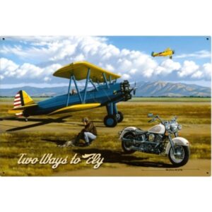 Two Ways To Fly