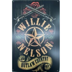 Willie Nelson Outlaw Country