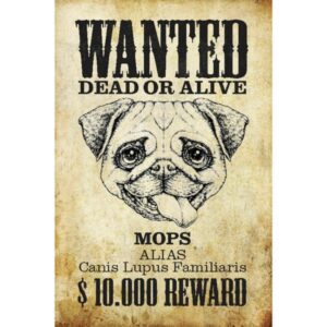 Wanted Dead Or Alive Mops