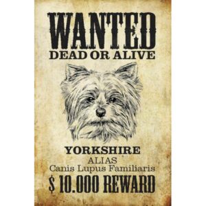 Wanted Dead Or Alive Yorkshire