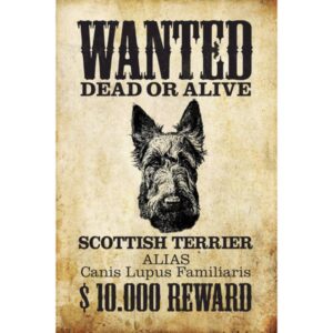 Wanted Dead Or Alive Scottish Terrier