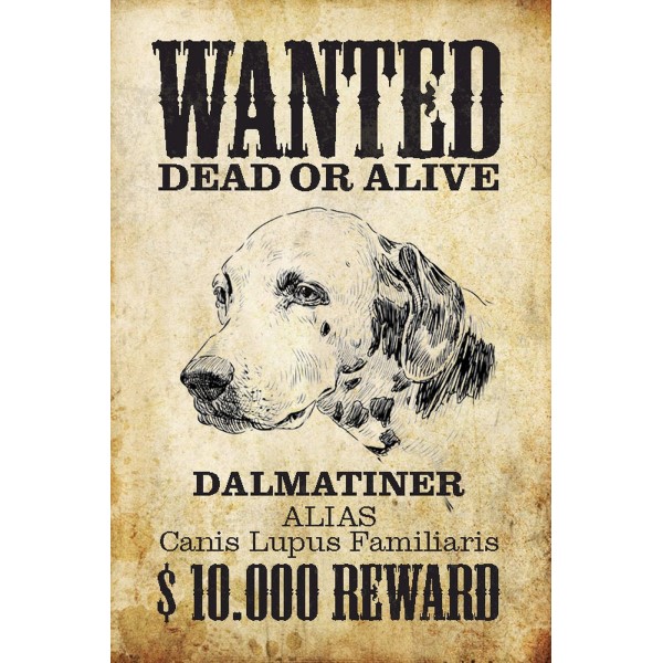 Wanted Dead Or Alive Dalmatier