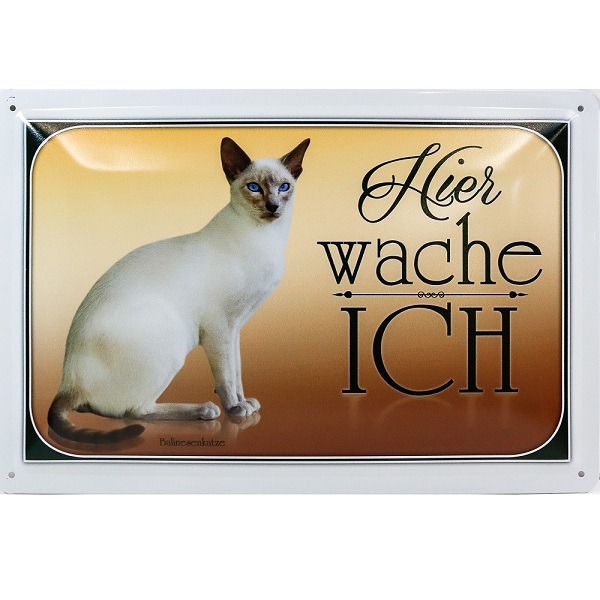 Balinesenkatze Hier Wache Ich