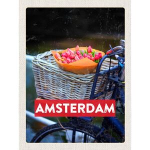 Amsterdam Fiets Met Tulpen