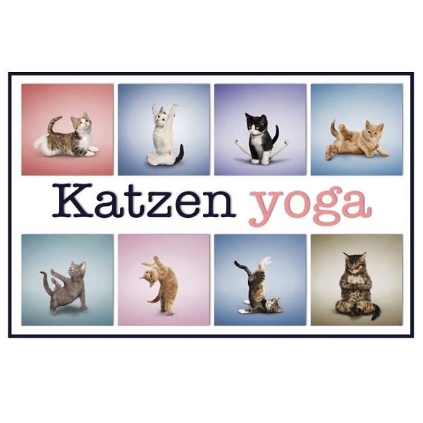 Katzen Yoga / Katten Yoga