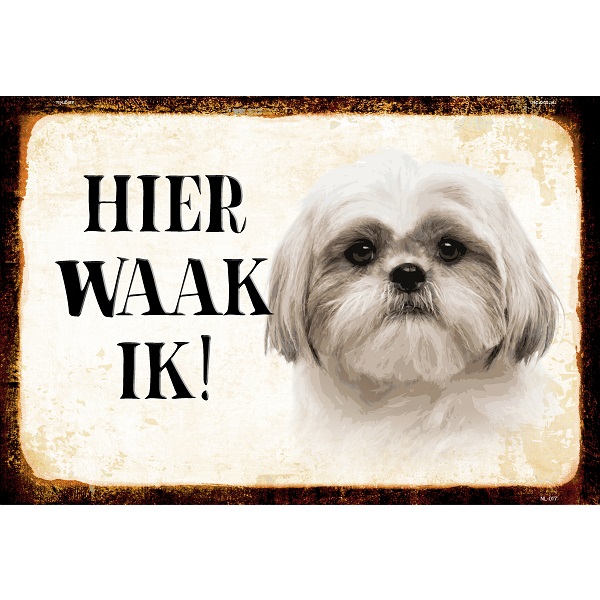 Hier Waak Ik - Shih Tzu