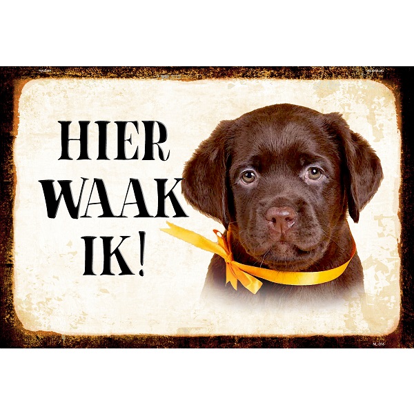 Hier Waak Ik - Labrador Pup