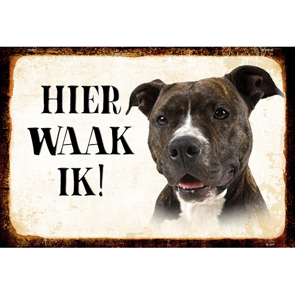 Hier Waak Ik - Pitbull Terrier