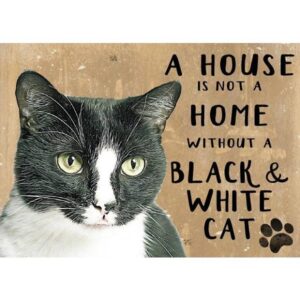 A House Is Not A Home Without A Black And White Cat