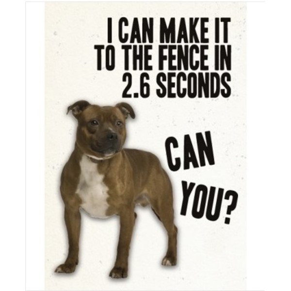 I Can Make It To The Fence In 2.6 Seconds