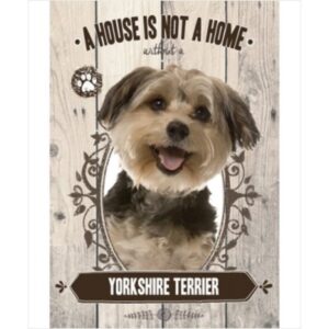 Yorkshire Terrier