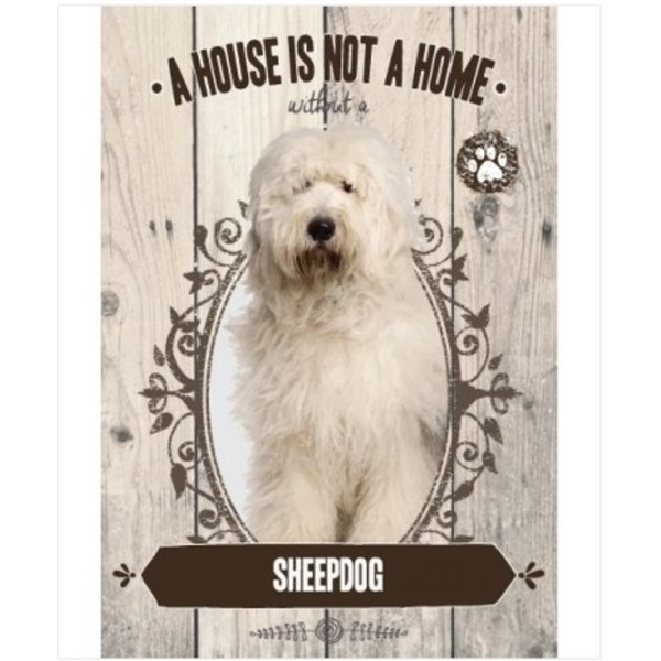 Sheepdog