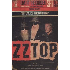 ZZ Top Summer Concert Series 2015