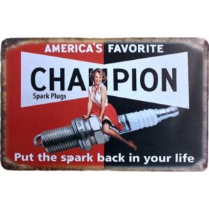 America's Favorite Champion Put The Spark Back In Your Life