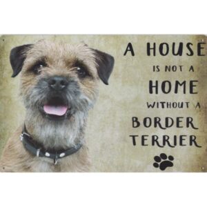 A House Is Not A Home Without A Border Terrier