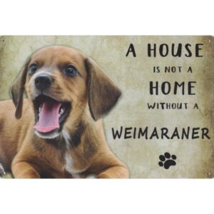 A House Is Not A Home Without A Weimaraner