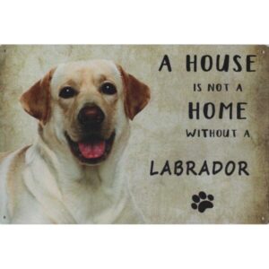 A House Is Not A Home Without A Labrador