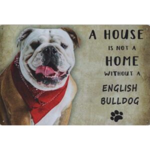 A House Is Not A Home Without A English Bulldog