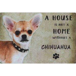 A House Is Not A Home Without A Chihuahua