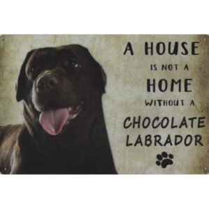 A House Is Not A Home Without A Chocolate Labrador