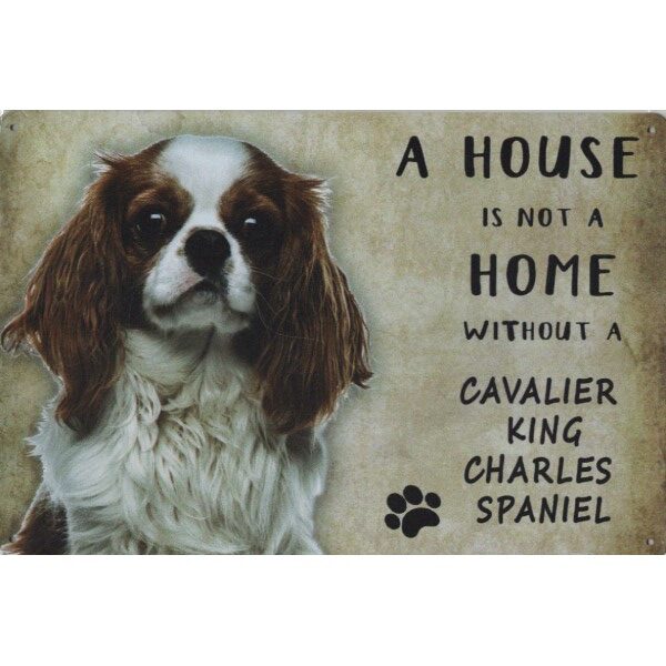A House Is Not A Home Without A Cavalier King Charles Spaniel