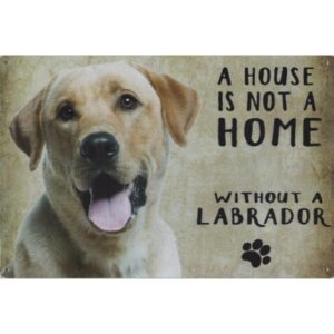 A House Is Not A Home Without A Labrador