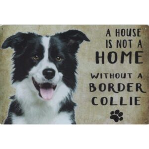 A House Is Not A Home Without A Border Collie