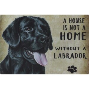 A House Is Not A Home Without A Labrador
