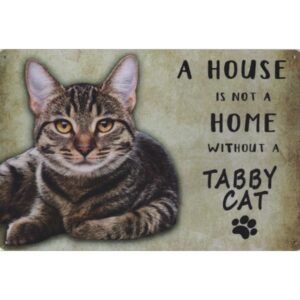 A House Is Not A Home Without A Tabby Cat