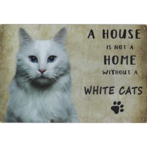 A House Is Not A Home Without A White Cats