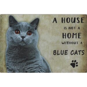 A House Is Not A Home Without A Blue Cats
