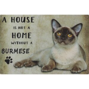 A House Is Not A Home Without A Burmese