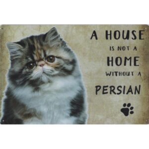 A House Is Not A Home Without A Persian