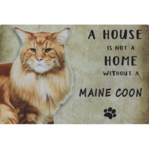 A House Is Not A Home Without A Maine Coon