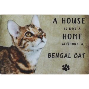 A House Is Not A Home Without A Bengal Cat / Bengaalse Kat