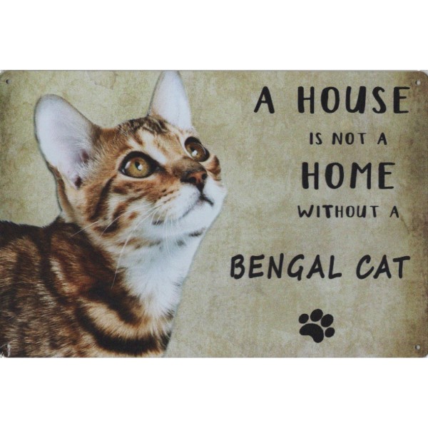 A House Is Not A Home Without A Bengal Cat / Bengaalse Kat