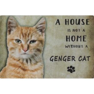A House Is Not A Home Without A Genger Cat