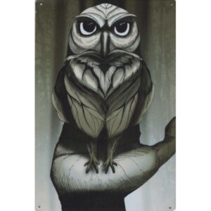 Wilde Dieren Art - Uil