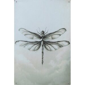 Wilde Dieren Art - Libelle
