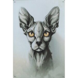 Wilde Dieren Art - Kat