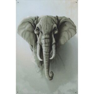 Wilde Dieren Art - Olifant