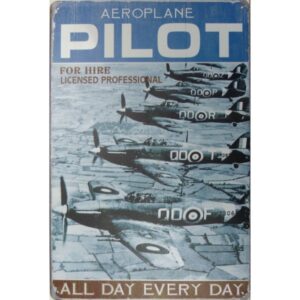 Aeroplane Pilot All Day Every Day