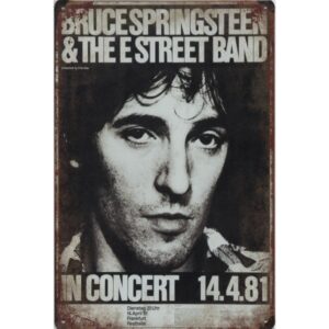 Bruce Springsteen And The E Street Band In Concert 1981