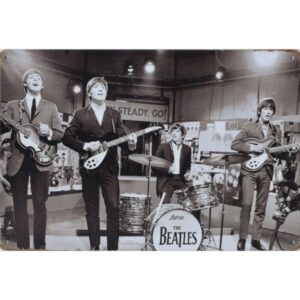 The Beatles Live In Concert