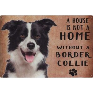 A House Is Not A Home Without A Border Collie