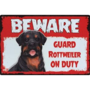 Beware Guard Rottweiler On Duty
