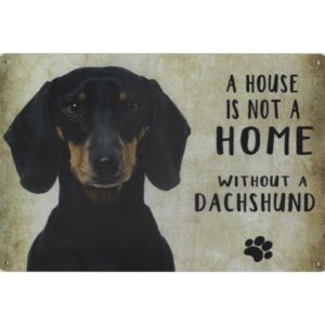 A House Is Not A Home Without A Dachshund
