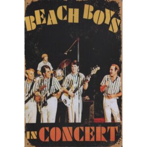 Beach Boys In Concert