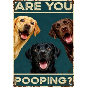 Are You Pooping? Labradors